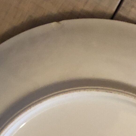 Exotic Bird Plates Porcelain PK Unity Server Trays Handpainted Peafowls Set of 2 - Picture 12 of 12